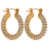 Micro CZ Stainless Steel Hoop Huggie Earrings Women