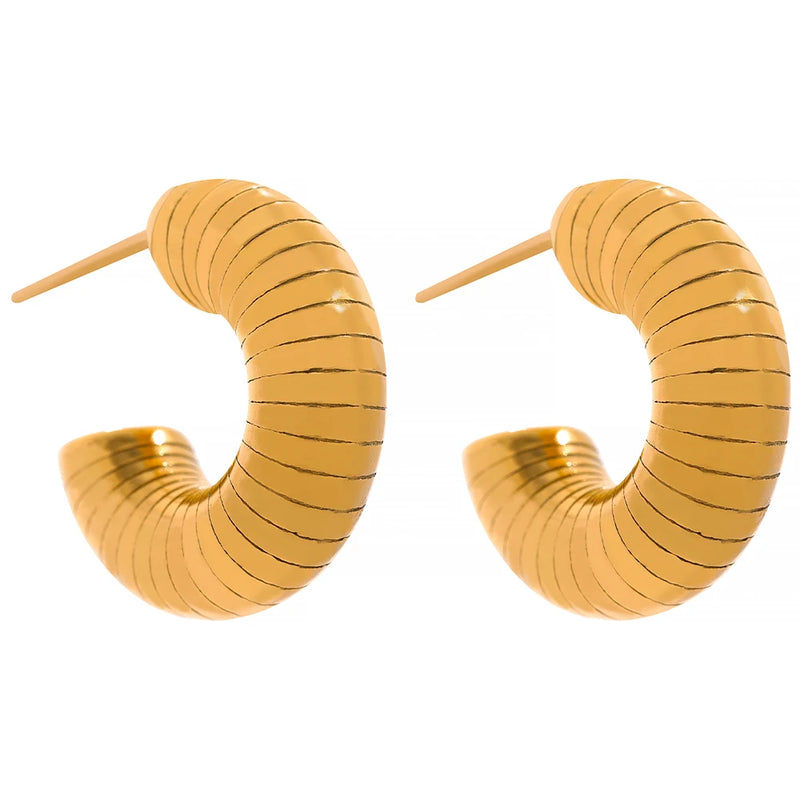 Chunky Stainless Steel Charm Hoop Earrings 18K Plated Gift