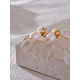 Natural Pearls Daily Drop Earrings Stainless Steel Stylish Charm Jewelry
