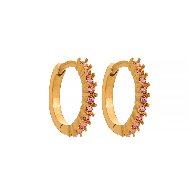CZ Stainless Steel Small Hoop Earrings Charm Jewelry