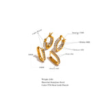 CZ Stainless Steel Hoop Earrings