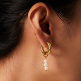 Youthway Pearl Dangle Earrings 316 Stainless Steel Plated PVD Waterproof