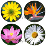 5pcs Flower Pattern Round Glass Cabochons for Earrings Brooch FP048