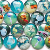 Mixed Butterfly Pattern Glass Cabochons 12mm 20mm Round Jewelry Supplies