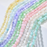 3MM Shell Beads Choker Chain Necklace for Women with Copper Charm