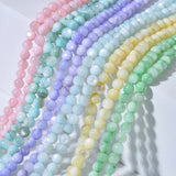 Natural Shell Beads Choker Bohemian Necklace for Women