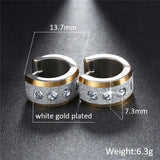 316L Stainless Steel Hoop Earrings with CZ Stone Punk Style Small Earrings