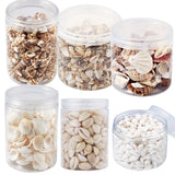 Spiral Shell Beads for Jewelry Making - 117~650pcs/Box