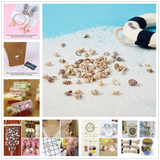 Spiral Shell Beads for Jewelry Making - 117~650pcs/Box