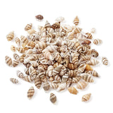 Spiral Shell Beads for Jewelry Making - 117~650pcs/Box