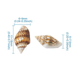 Spiral Shell Beads for Jewelry Making - 117~650pcs/Box