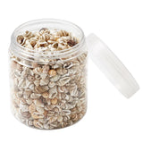 Spiral Shell Beads for Jewelry Making - 117~650pcs/Box