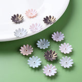 6-Petal Flower Bead Caps Mix Acrylic End Caps for Jewelry Making