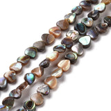 Natural Paua Shell Heart Beads Strands for DIY Jewelry Making