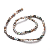 Natural Paua Shell Heart Beads Strands for DIY Jewelry Making