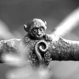 img_6457273