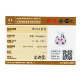 Pink CZ Ladybug Charm for Silver 925 Reflexions Bracelet