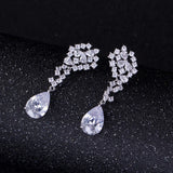 925 Silver Needle Zircon Tassel Drop Earrings for Banquet Dress
