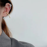 S925 Sterling Silver Water Drop Geometric Earrings