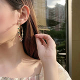 Large Zirconium Earrings S925 Silver Needle Elegant Style