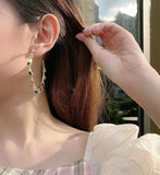 Large Zirconium Earrings S925 Silver Needle Elegant Style