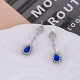 Liangya Beauty Zircon Earrings 925 Silver