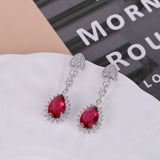 Liangya Beauty Zircon Earrings 925 Silver