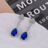 Liangya Beauty Zircon Earrings 925 Silver