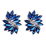Phoenix Zircon Earrings, bridal jewelry, Tiktok
