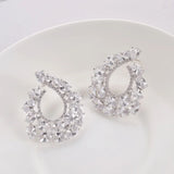 925 Silver Zircon Earrings, Personalized Flower Female Ins