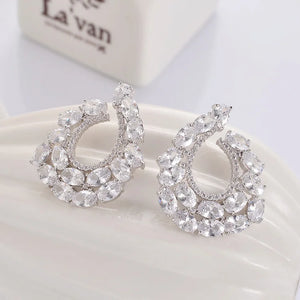 925 Silver Zircon Earrings, Personalized Flower Female Ins