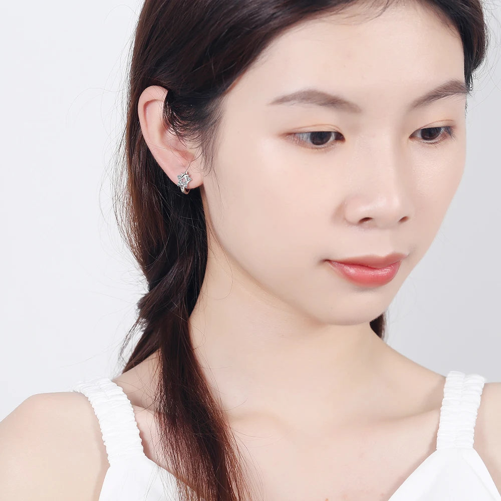 Silver Star Crystal Earrings for Women - Korea Jewelry