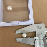 AAAA 9-10MM Freshwater Loose Pearl in Paired