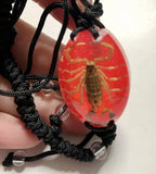 Scorpion NO 1 Bracelet