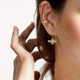 img_6288754