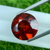 img_6240003