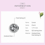 Europe Bracelet Silver 925 CZ Scorpio Beads for Jewelry Making