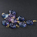 Fluorite Cat Foot Pendant Beads - Natural Stone Charms for Jewelry Making