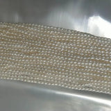 2-3mm Mini Rice Freshwater Pearl Beads Oval Shape AA