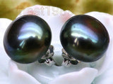 10mm Peacock Bread South Sea Pearl Earrings 14k/20
