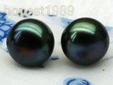 10mm Peacock Bread South Sea Pearl Earrings 14k/20