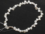 Freshwater Pearl Keshi Flat Beads 8-12mm 15inch
