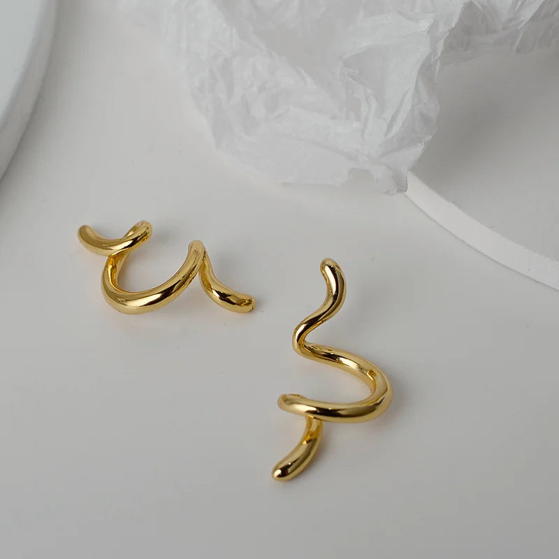 S925 Sterling Silver Irregular Line Female INS Wind Earrings