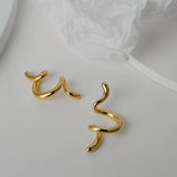 S925 Sterling Silver Irregular Line Female INS Wind Earrings