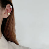 S925 Sterling Silver Diamond Female INS Wind Earrings