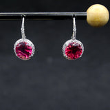 Japan & South Korea Women's Ins High-End Zircon Earrings