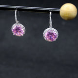 Japan & South Korea Women's Ins High-End Zircon Earrings