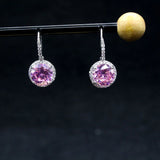 Japan & South Korea Women's Ins High-End Zircon Earrings