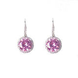 Japan & South Korea Women's Ins High-End Zircon Earrings