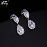 Water Drop Zircon Earrings